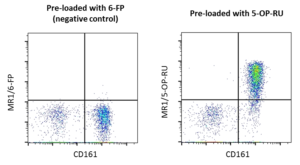 MR1 tetramers - ProImmune