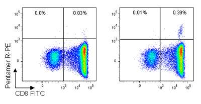 Pro5Â® Pentamer staining of live lymphocytes