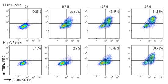 The production of CD107a and TNF-alpha from the HBc18-27-specific T cells