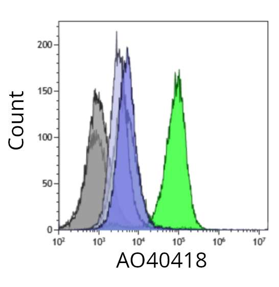 Qualified Ankyron Data