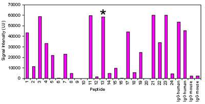 peptide binding results