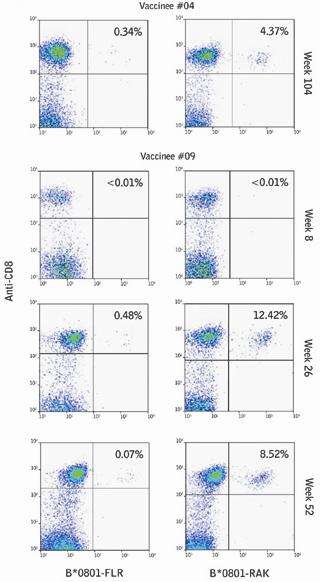 Data showing Pentamer staining for 2 vaccinees