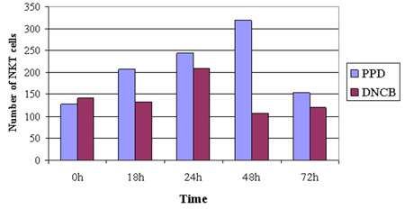 NKT cell counts in auricular lymph nodes