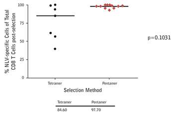 Anti-biotin magnetic bead-based separation of CMV epitope-specific T cells from donors using A*02:01/NLVPMVATV multimers