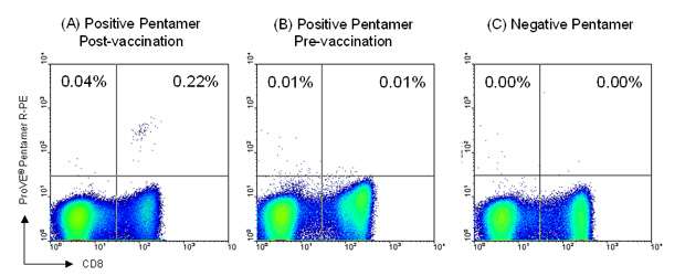 Example flow cytometry results