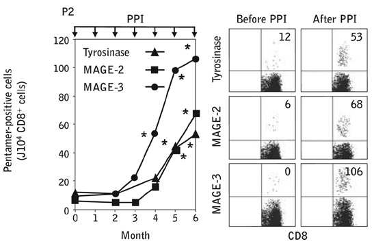 Data showing induction of Pentamer-positive CD8+ T cells